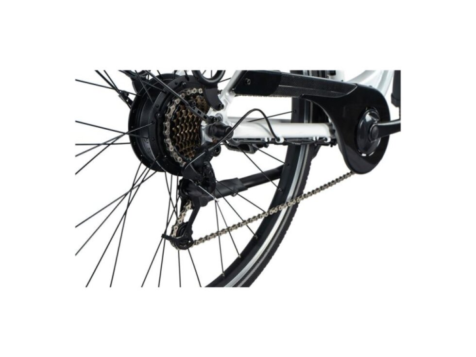 Leader Fox 28" PARK CITY 2024