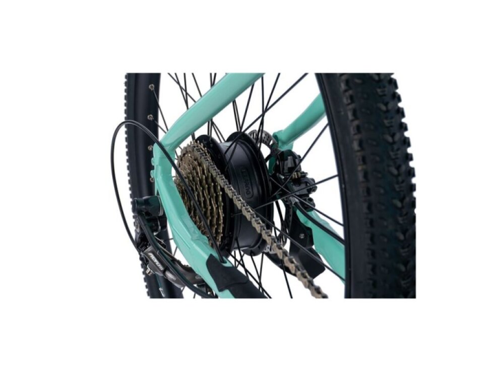 Leader Fox 29" ARIMO LADY 2024