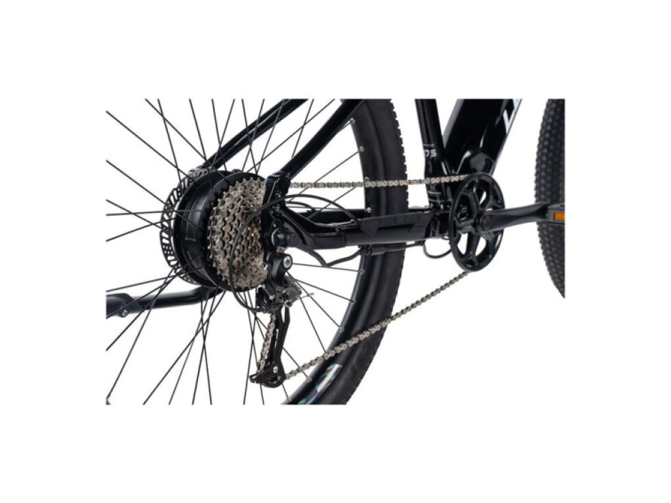 Leader Fox 27,5" ARIMO GENT 2024