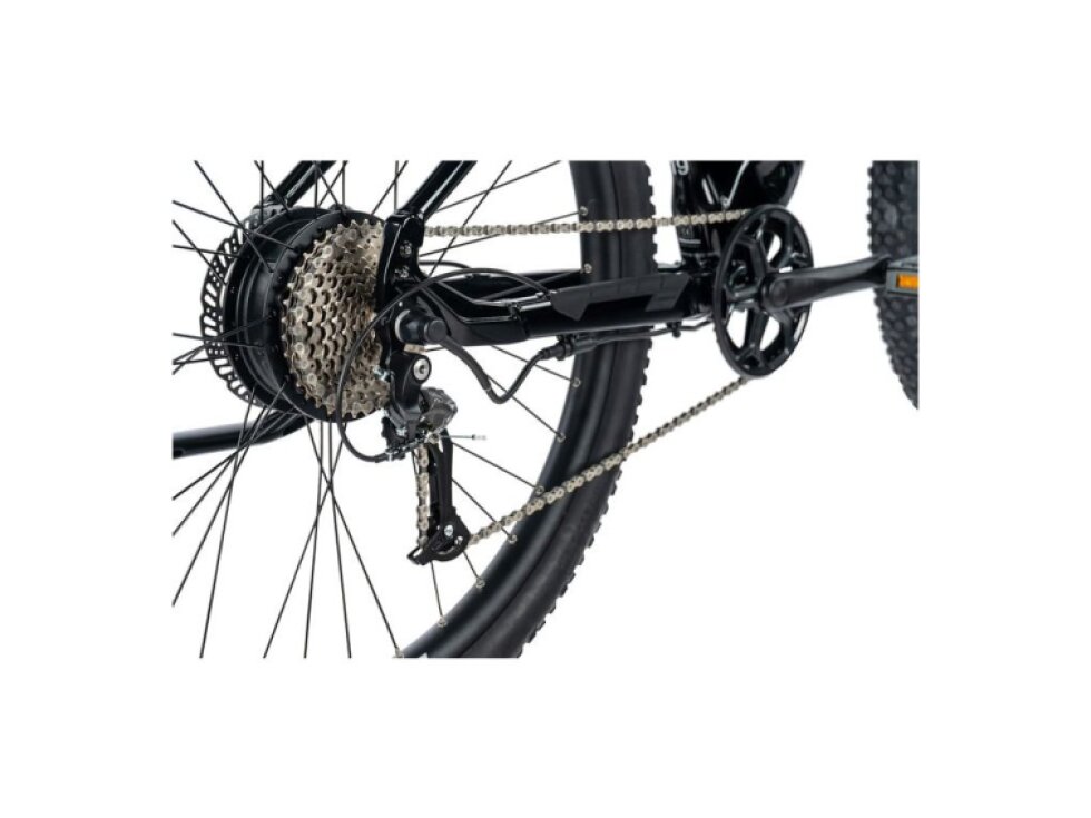 Leader Fox 29" ARIMO GENT 2024