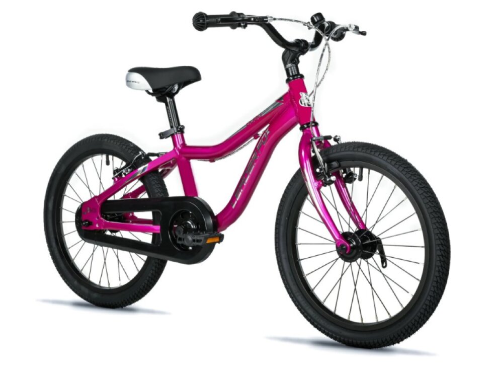 Leader Fox BUBU BOY 18" fialová 2025