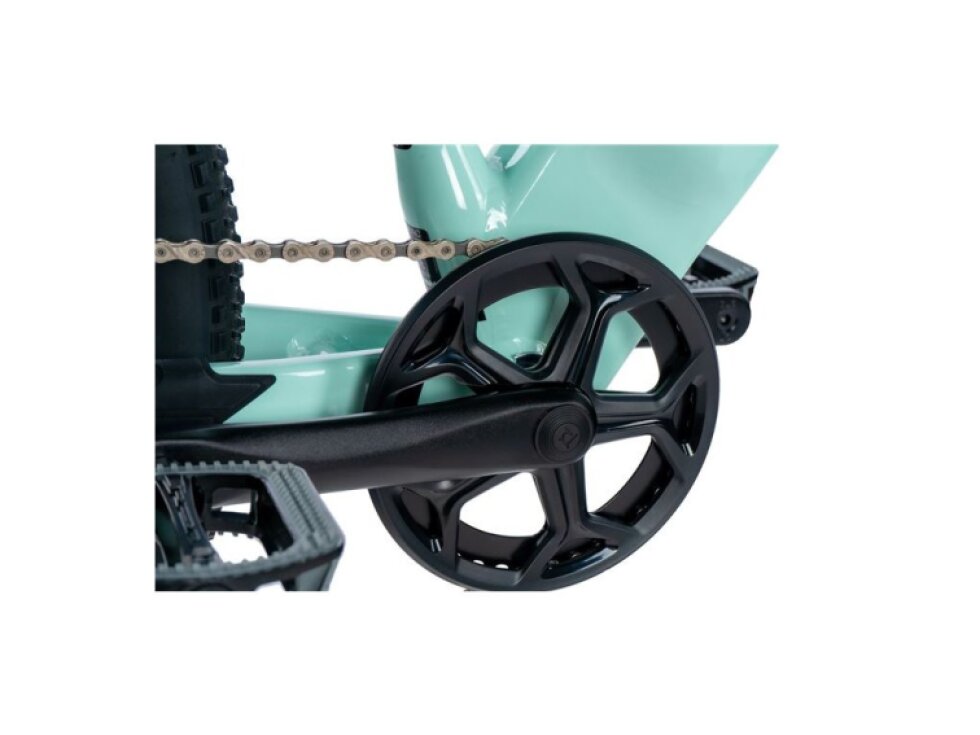 Leader Fox 29" ARIMO LADY 2024