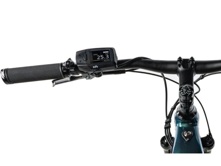 Leader Fox OXNAR 29" pánský 2023