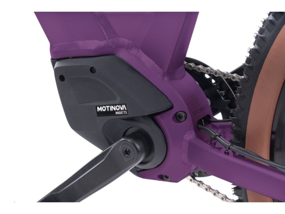 LEVIT RIVERO lowstep 17 Ah 27,5" 2025