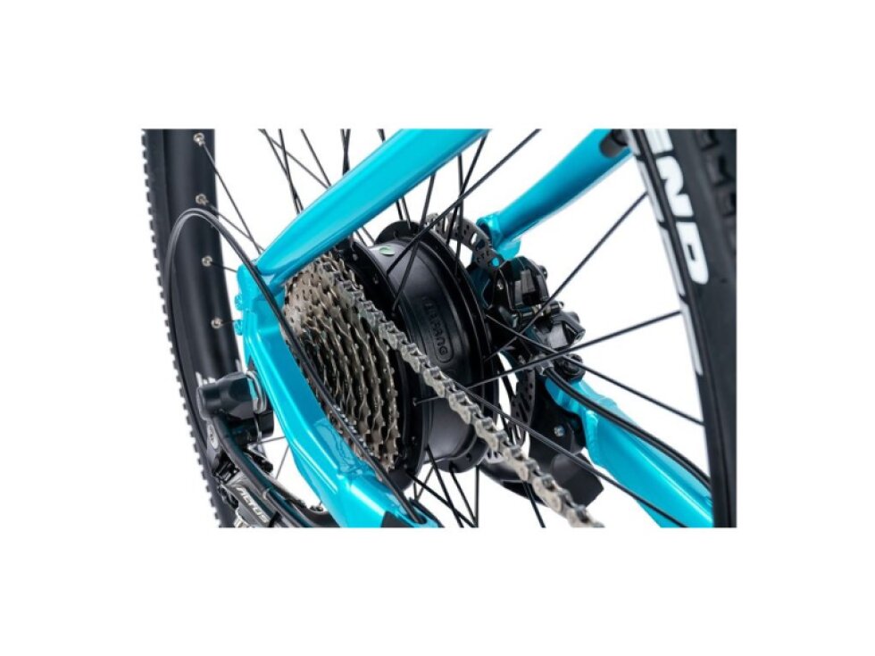 Leader Fox 29" ARIMO LADY 2024