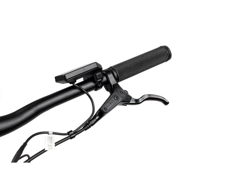 PELLS Thorr 3 500 Wh 29" 2024