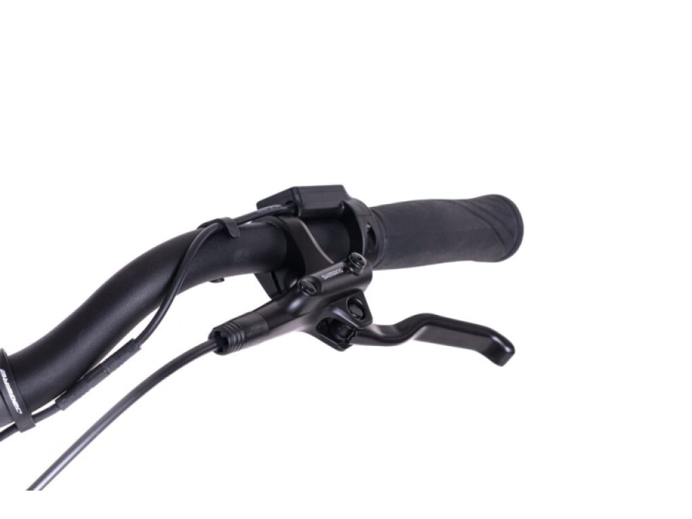 LEVIT BELECO 5 lowstep 28" 15 Ah 2026