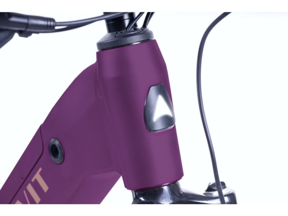 LEVIT RIVERO lowstep 17 Ah 27,5" 2025