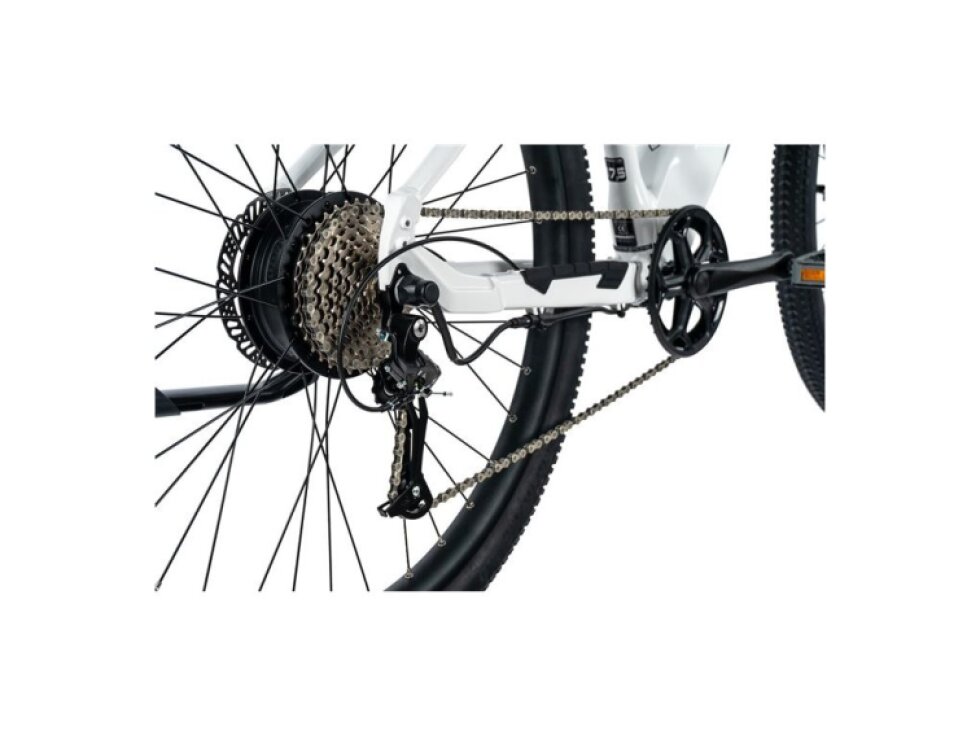 Leader Fox 29" ARIMO LADY 2024