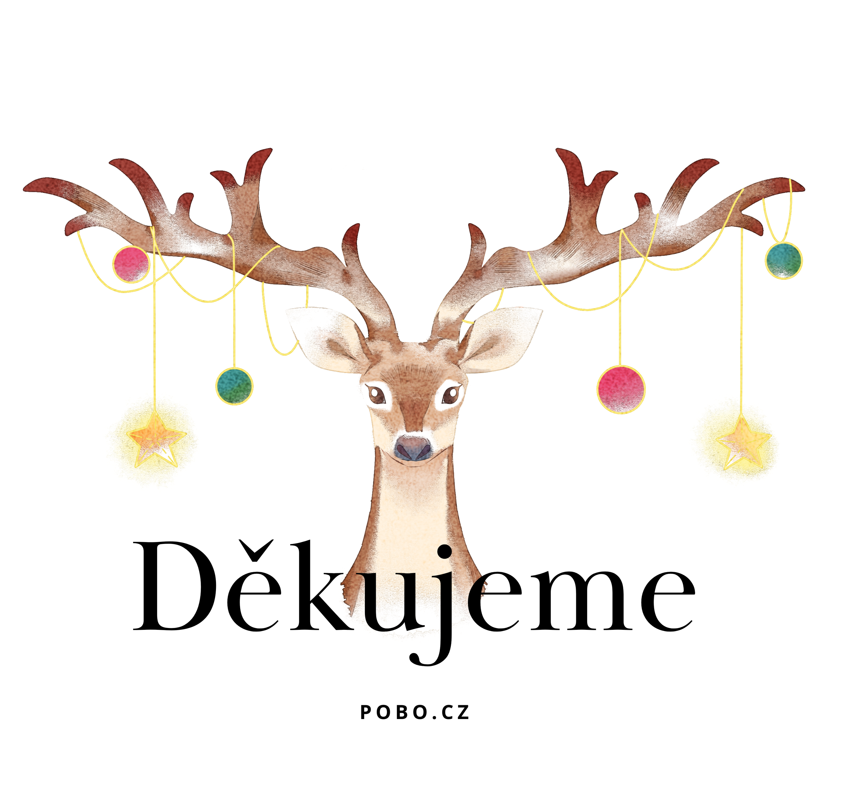 VOUCHER (DÁRKOVÝ POUKAZ) 10000,- KČ