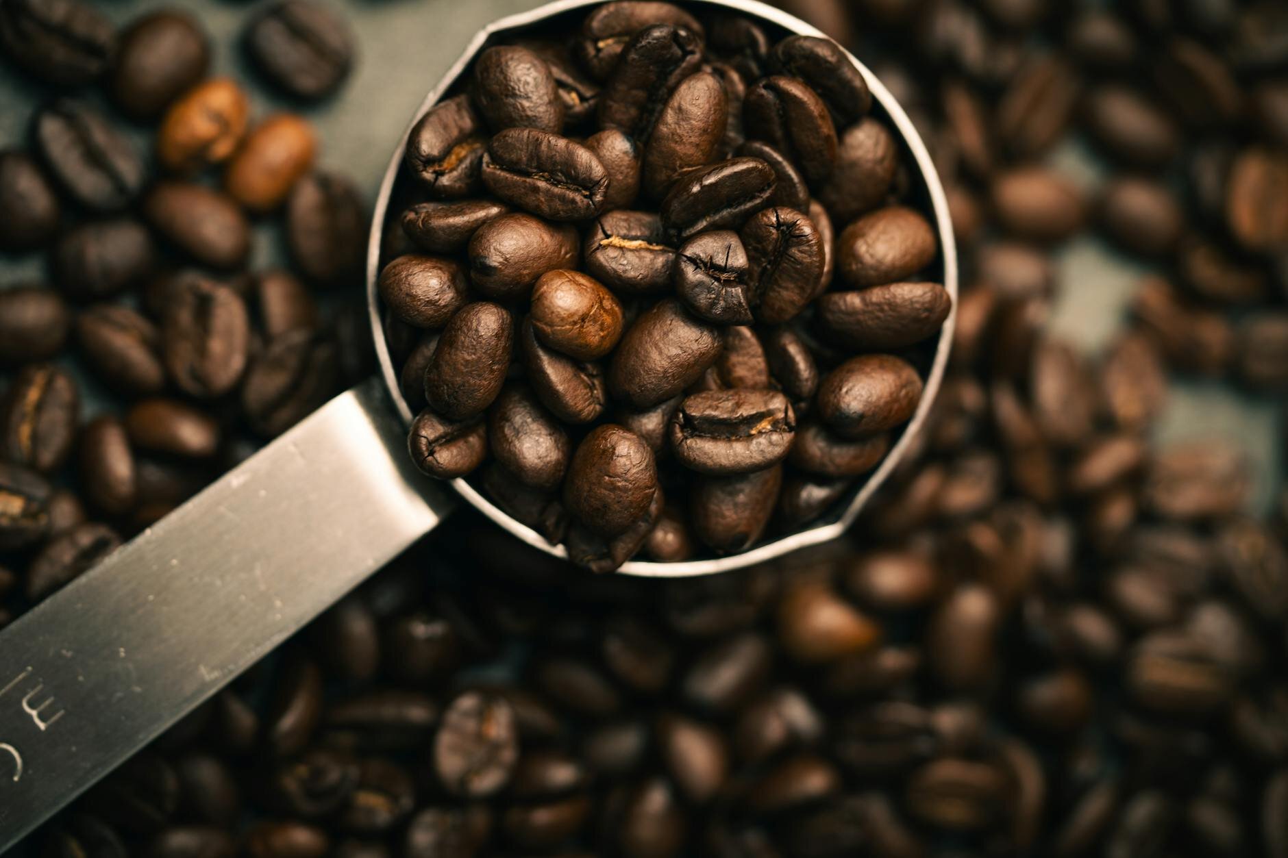 Nord Beans House Blend - Prémiová káva Arabica/Robusta 250g