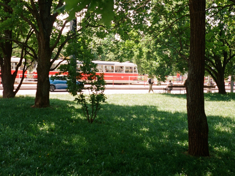 Rangherka