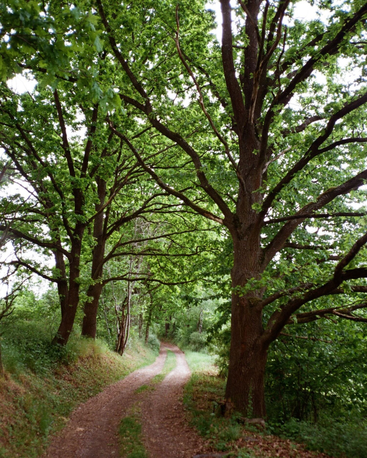 Jedna pracovní vrstva. Ven.