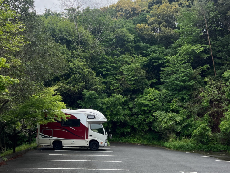 Leleka