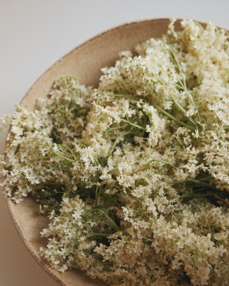 Zakonzervovať sezónu, o to ide v kuchyni