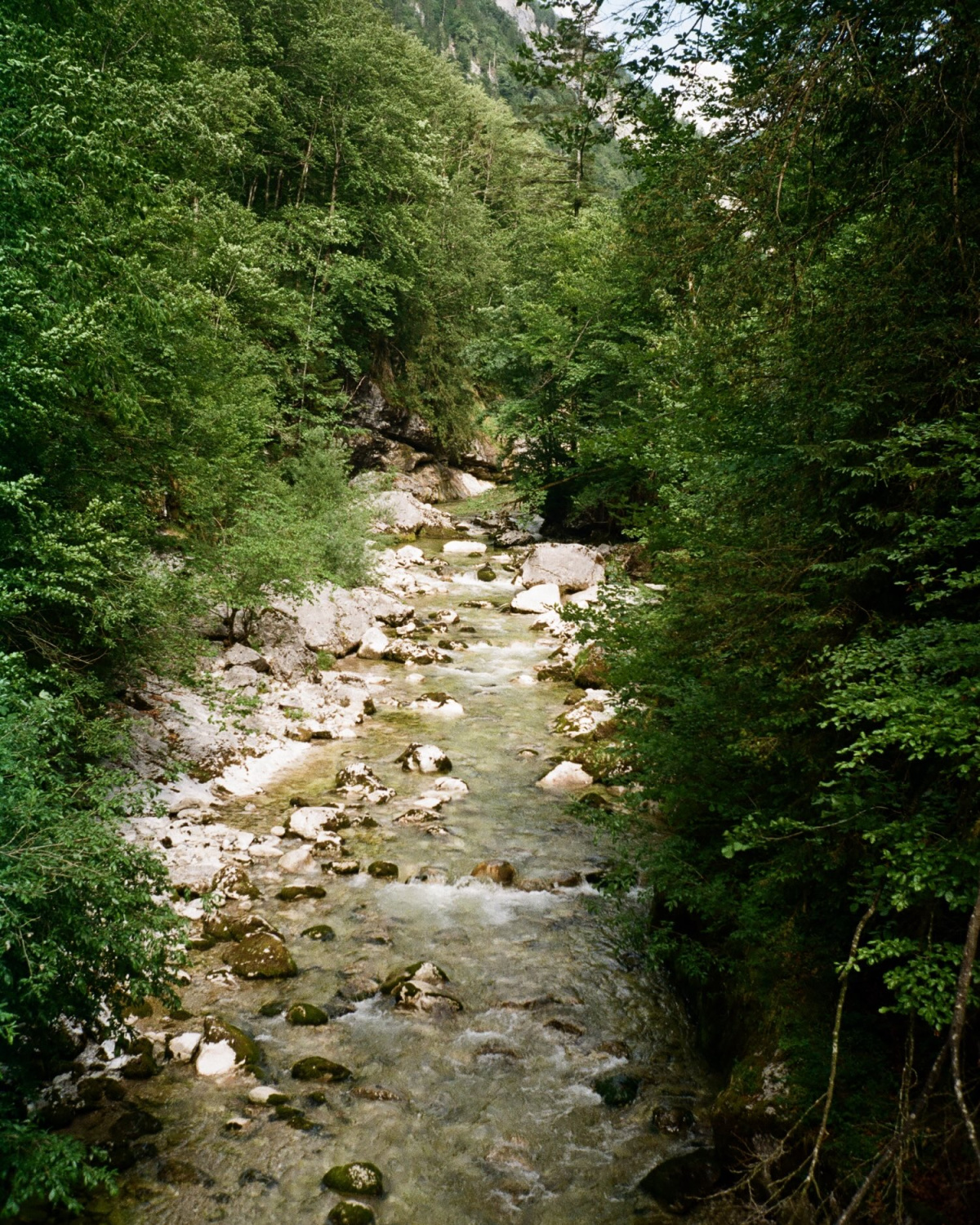 Back to Salzkammergut