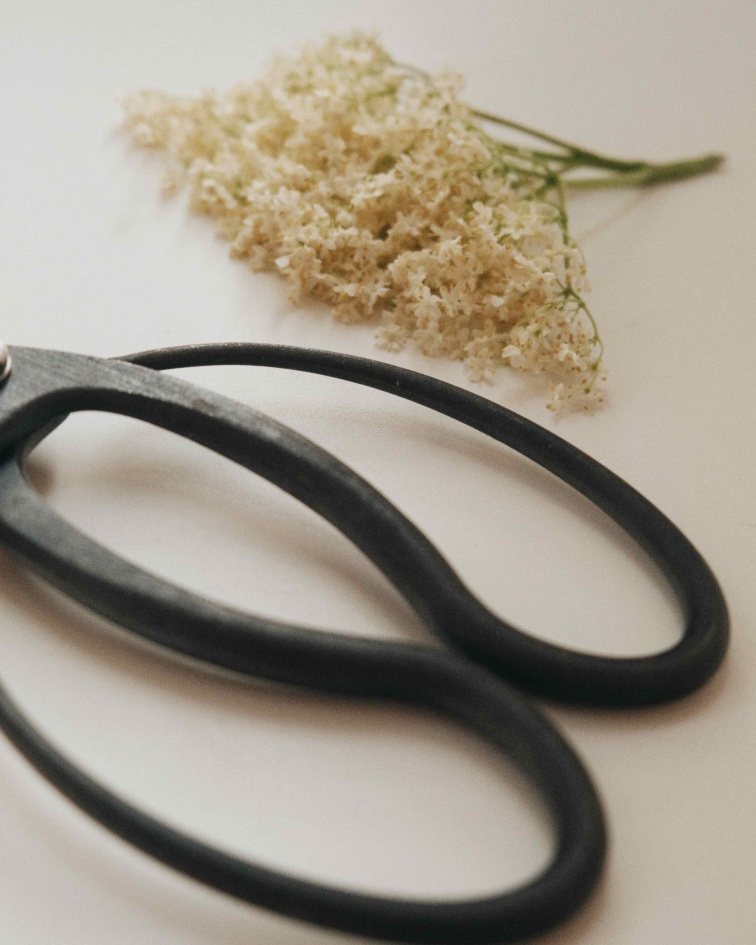 Zakonzervovať sezónu, o to ide v kuchyni