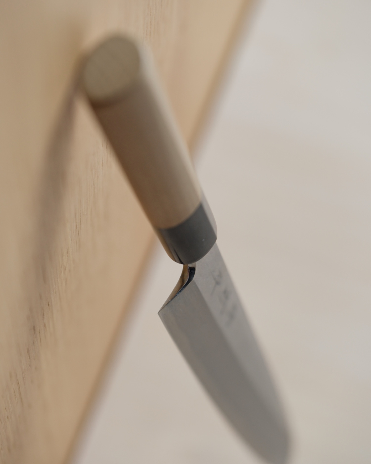 Knife review: Yanagiba SHIRONIKO 240 Sakai Kikumori V2
