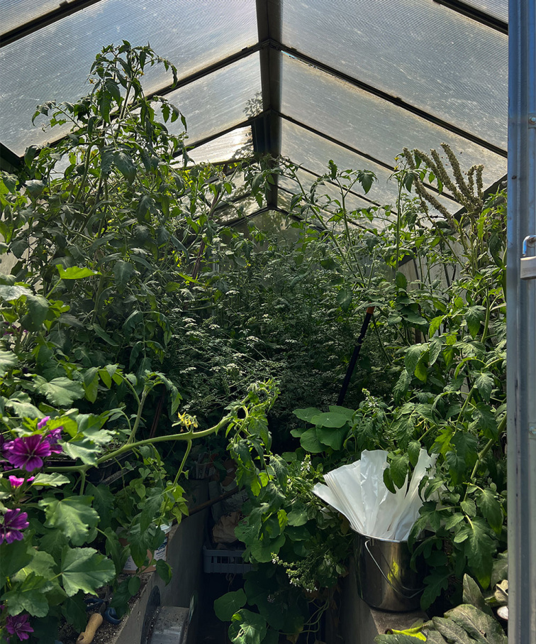 Zahradní nůžky Whiteley & Sons Purple