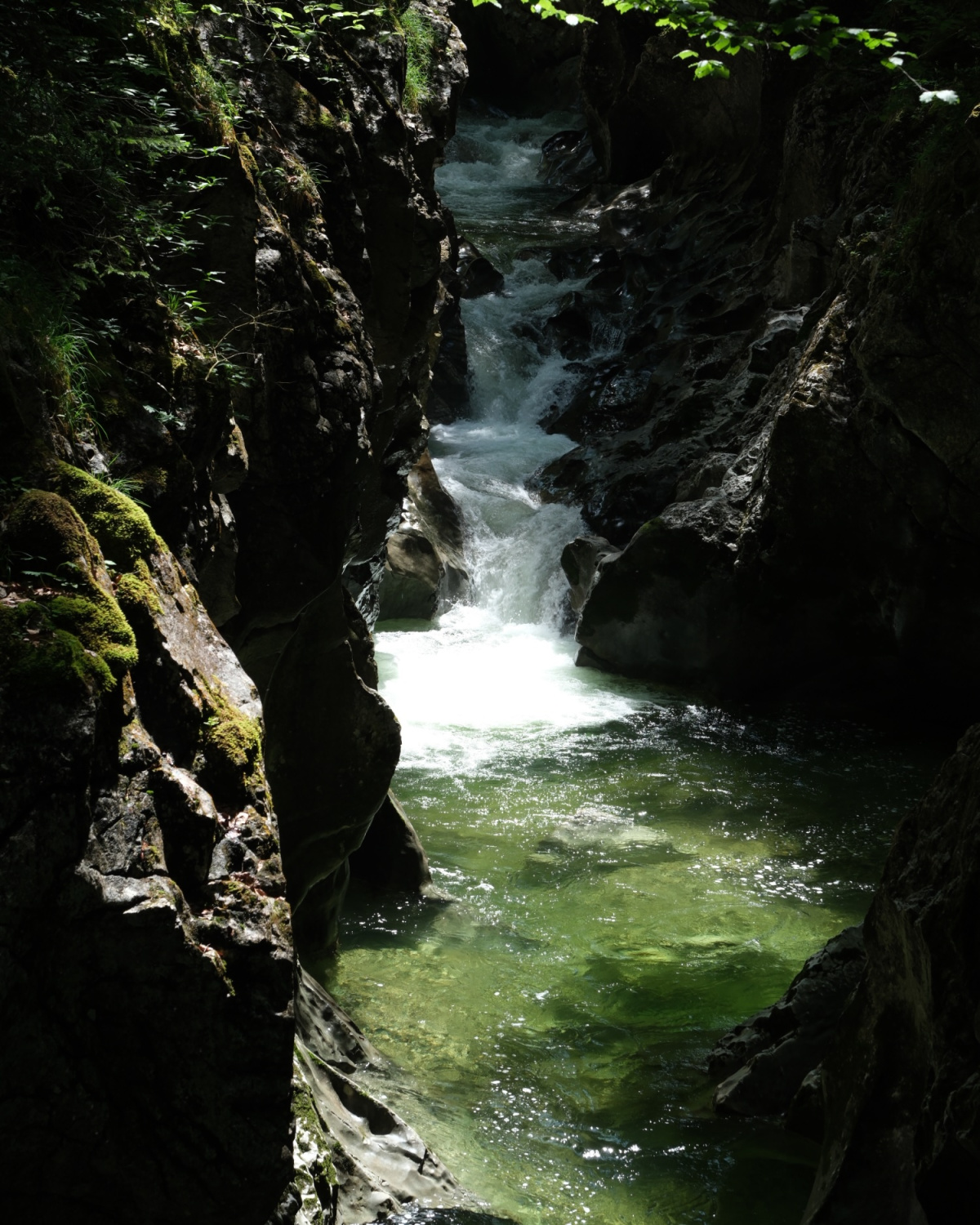 Back to Salzkammergut