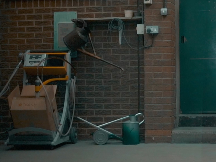 Proč nás uklidňuje zalévání rostlin (a co to dělá s hlavou)