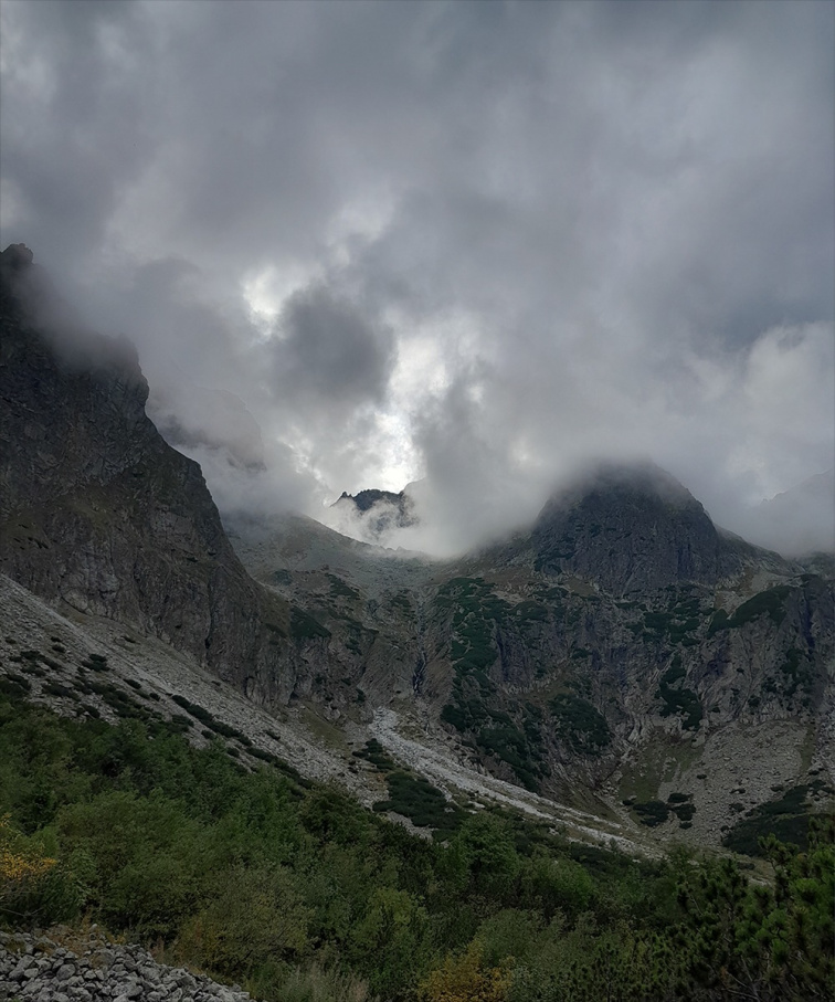 Japonské nůžky Ikenobo