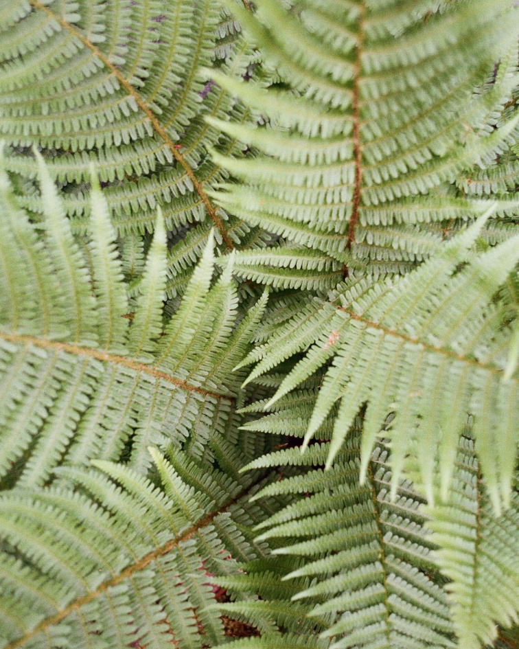 Jedna pracovní vrstva. Ven.