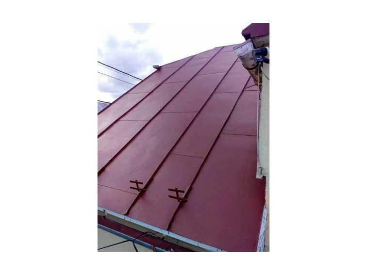 ROOF PAINT 60 Scala 10L - polyakrylová farba 2v1 na strechu a kov