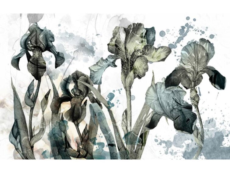 Fototapeta IRIDACEAE