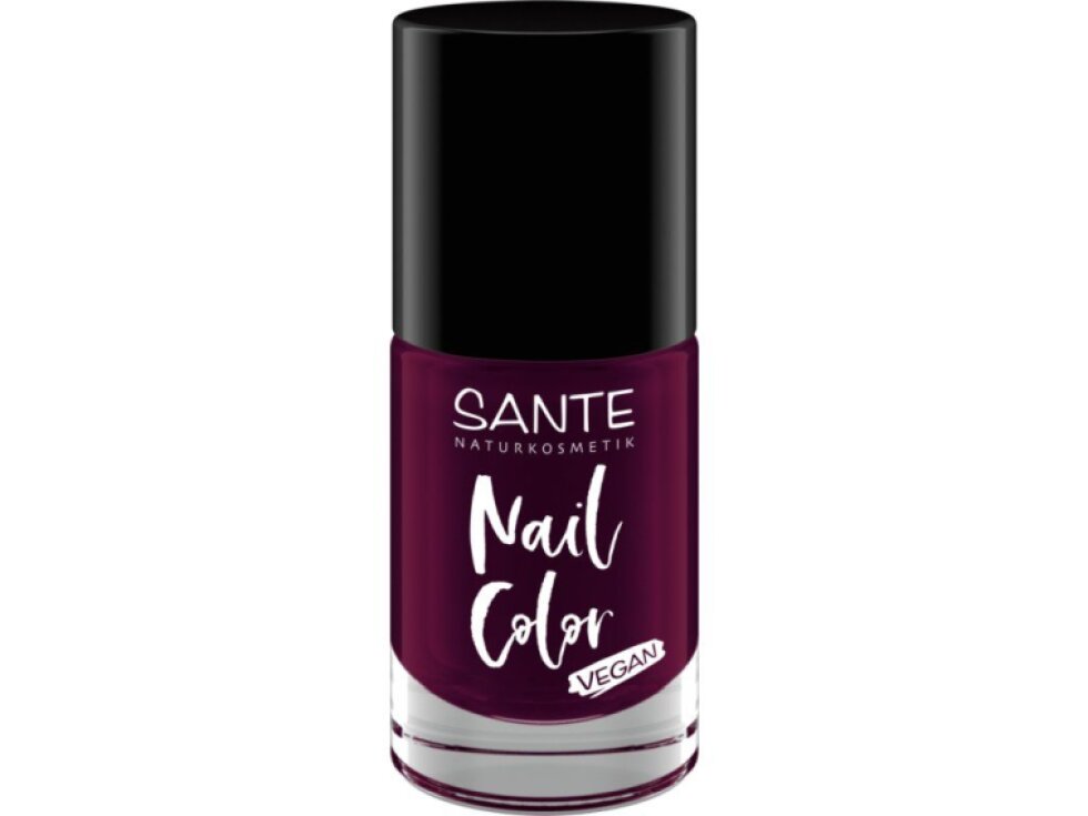Lak na nechty SANTE
