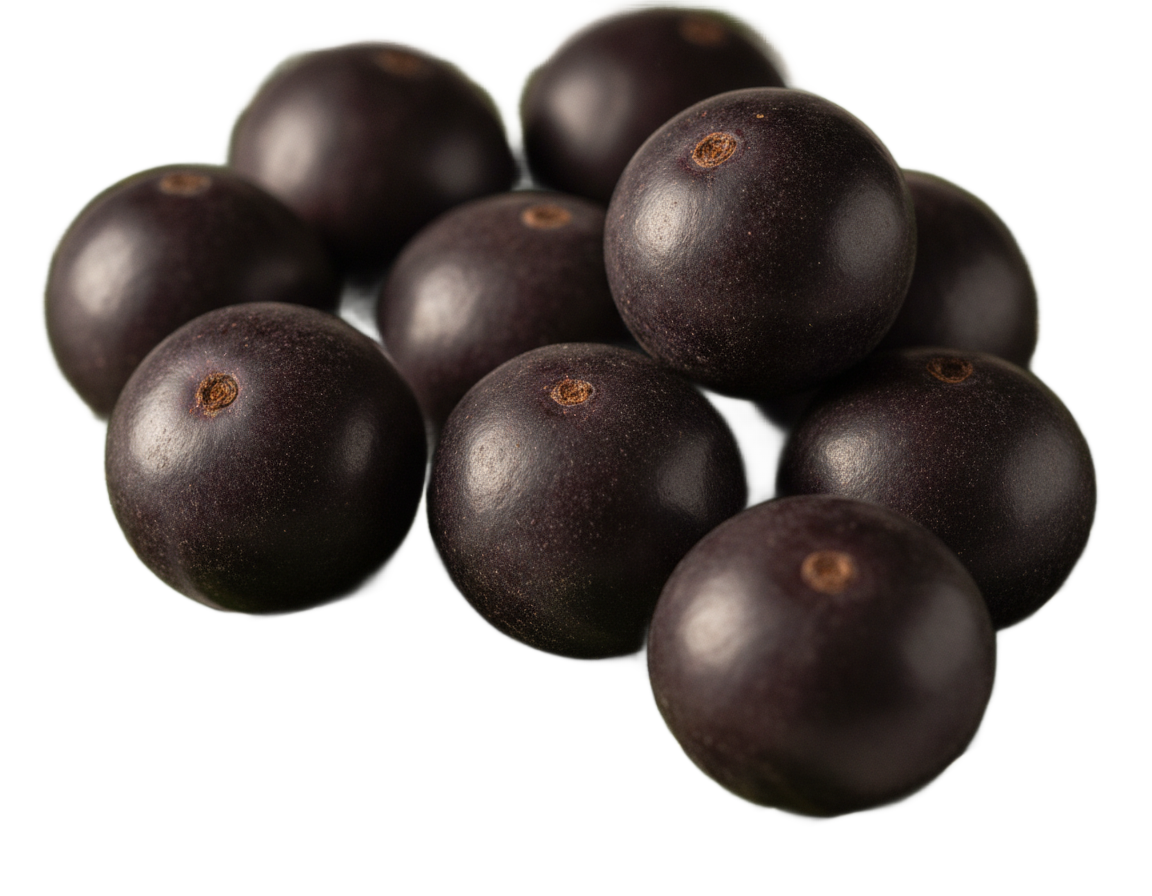 Acai olej (Euterpe Oleracea)