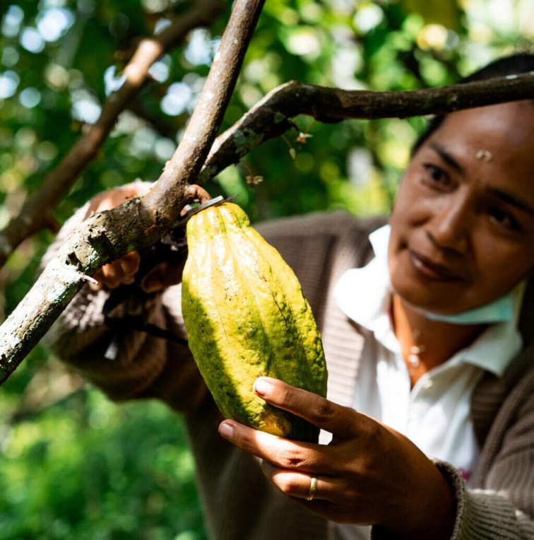Ceremoniálne kakao RAW Bali 500g