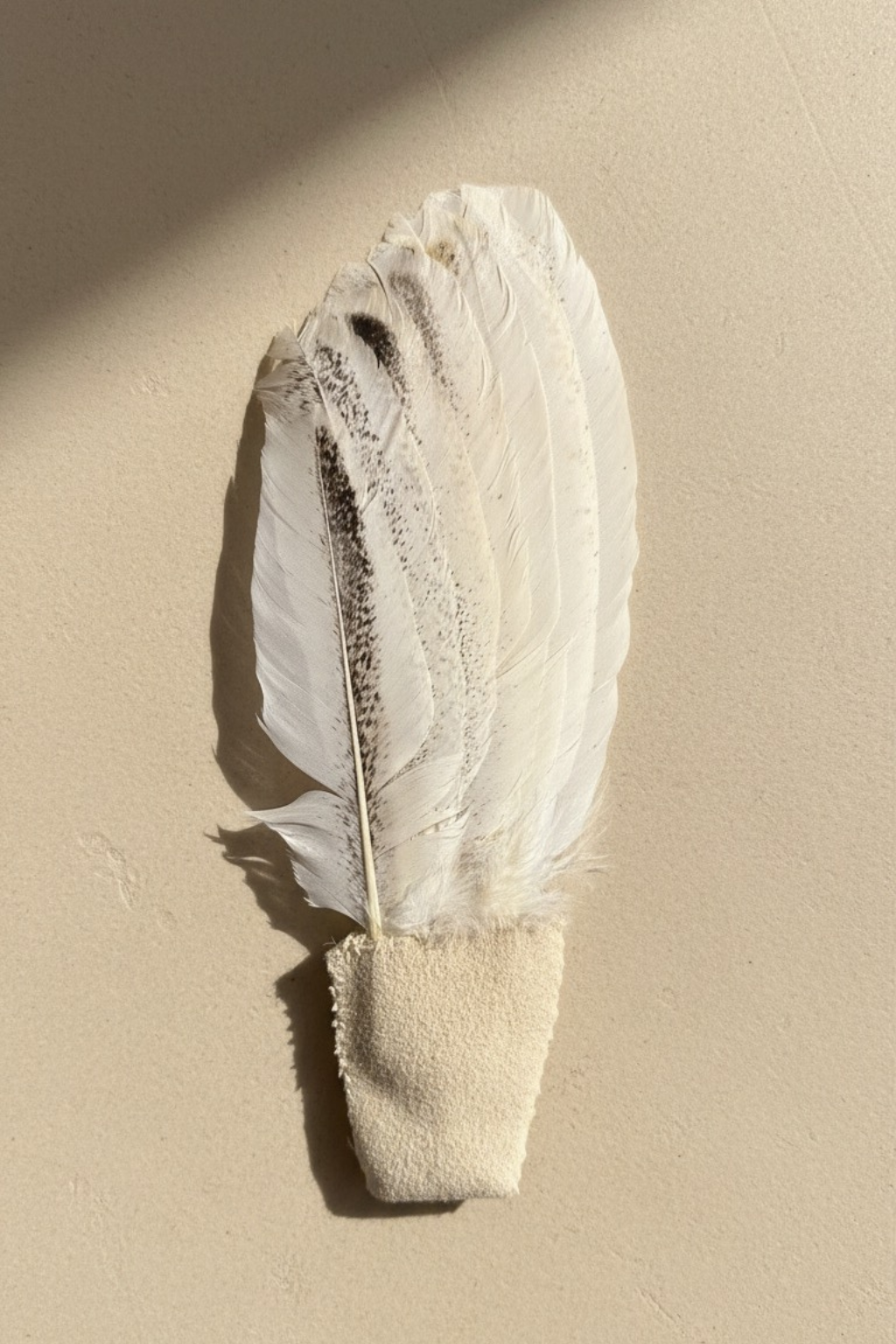 Rituálne pierka na vydymovanie