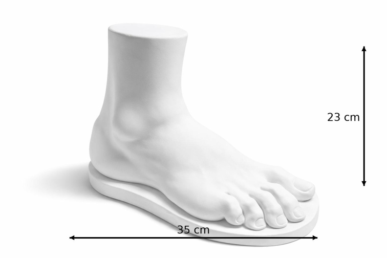 Sádrový model nohy, model pro kresbu a modelování