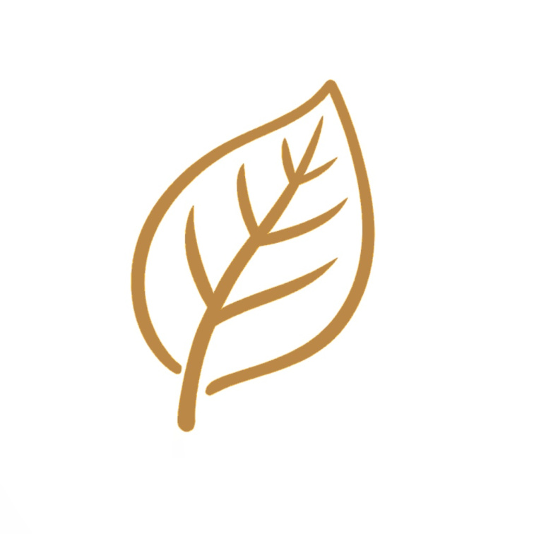 Lněná barva, Šedozelená, Grågrön, NCS 3407-G80Y