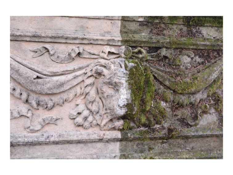 BFA koncentrát - biocid