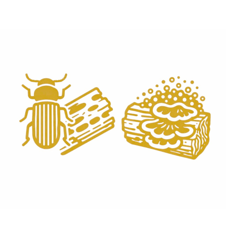 Lignofix I-Profi - likvidace dřevokazného hmyzu