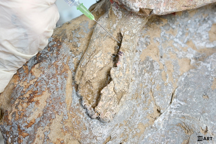 Paraloid™ B-72 - roztok 30%