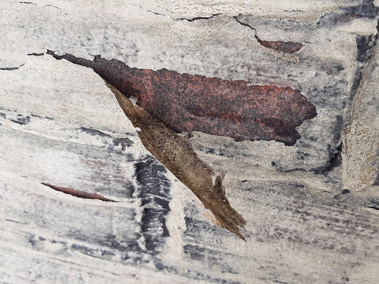 Clean Galena - čistící pasta