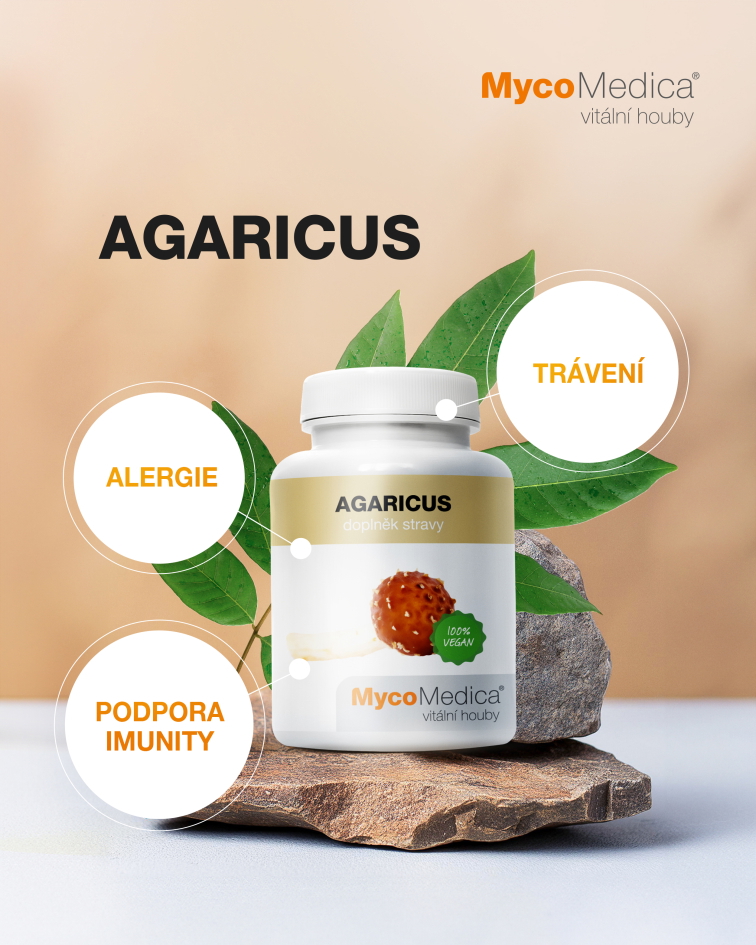 Mycomedica Agaricus 90 kapslí
