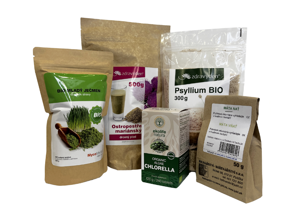 Jak se vrátit do rovnováhy s přírodou?