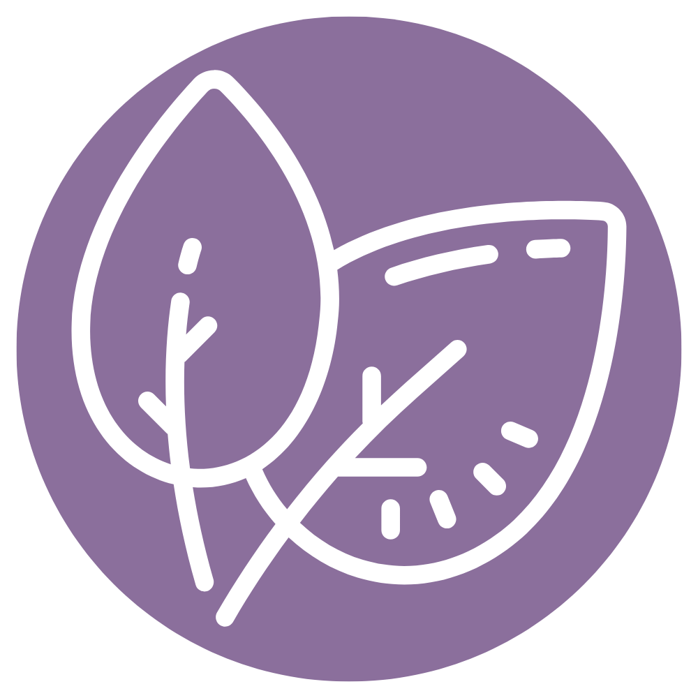 MycoMedica Acerola 90 kapslí