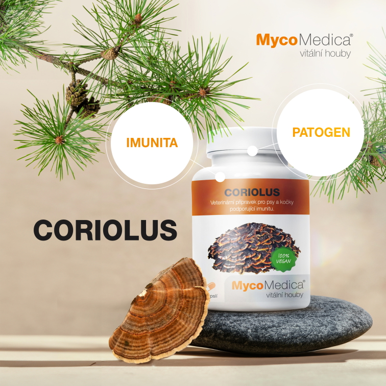 MycoMedica Coriolus 90 kapslí