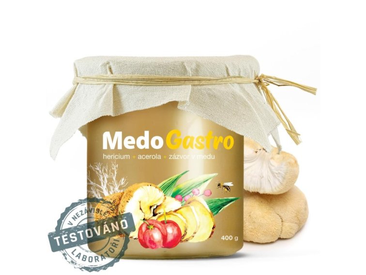 MycoMedica MedoGastro 400 g