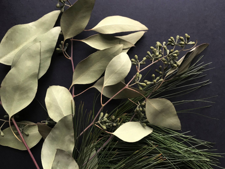 Vonná svíčka Pančavský vodopád - eukalyptus, niaouli, červený tymián, borovice - recyklované sklo střední