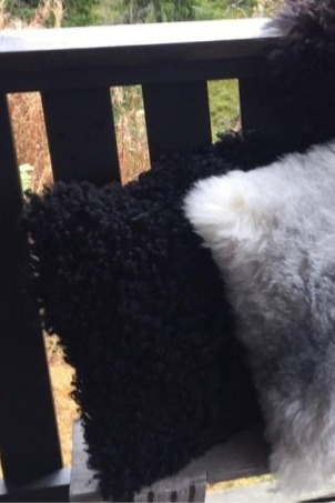 Kožešinový polštář Ebony, černá kudrnatá vlna, 40x40 cm