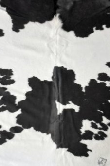 Hovězí kůže Tilda střední, brazilská kráva