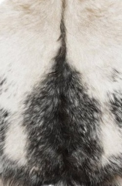 Kozí kůže Goaty mix