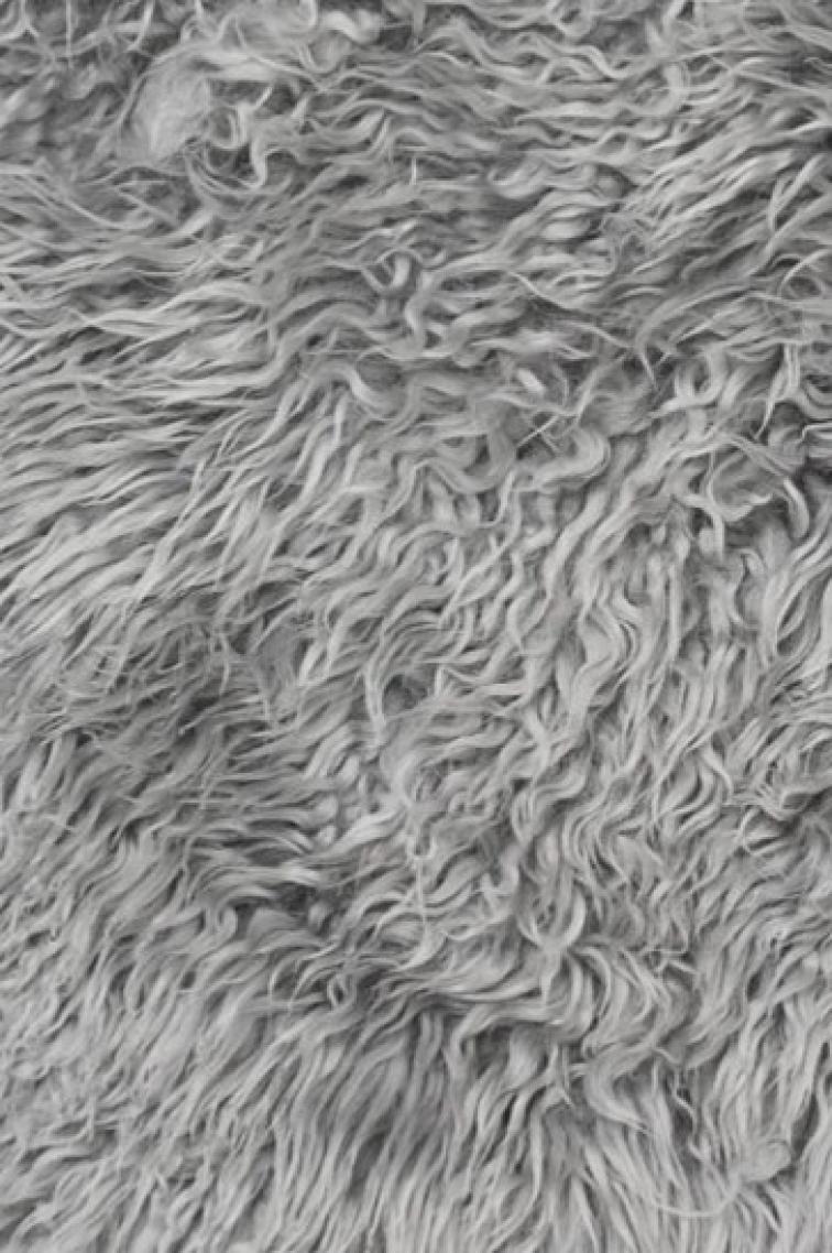 Frizzy australská kožešina, šedá