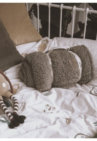 Plyšový pléd Tedy Grey, šedý, 120x180 cm